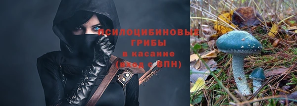 сатива Балабаново