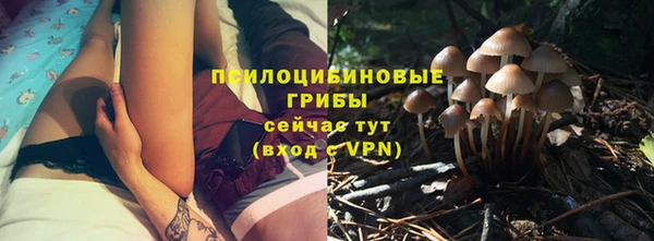 сатива Балабаново