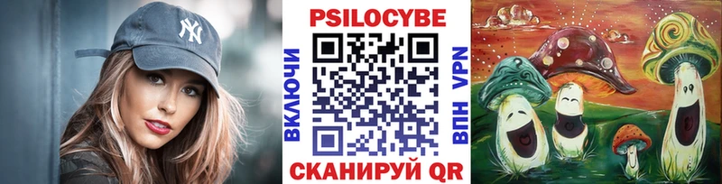 Псилоцибиновые грибы мицелий Верхняя Салда